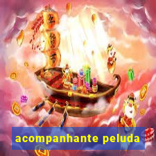 acompanhante peluda