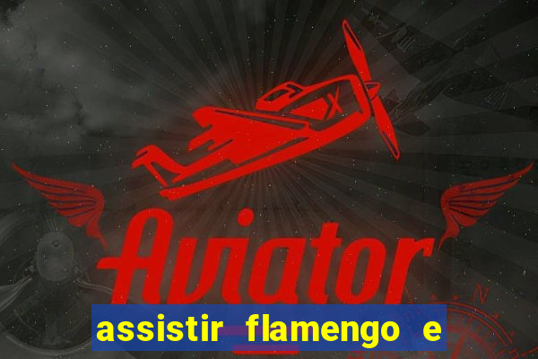 assistir flamengo e atlético mineiro