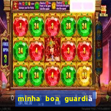 minha boa guardiã completo pdf