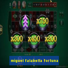 miguel falabella fortuna