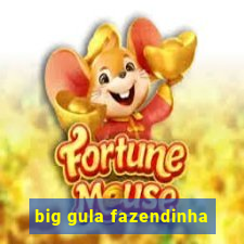 big gula fazendinha