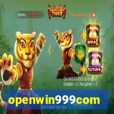 openwin999com