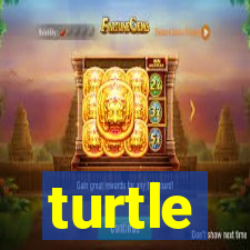 turtle-ty.com