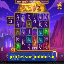 professor online sc